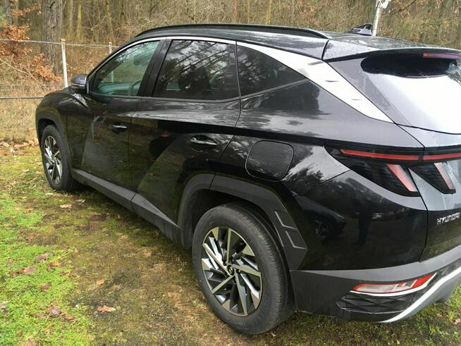 Salonowy, Bezwypadkowy, serwis ASO Hyundai, samochód dealera