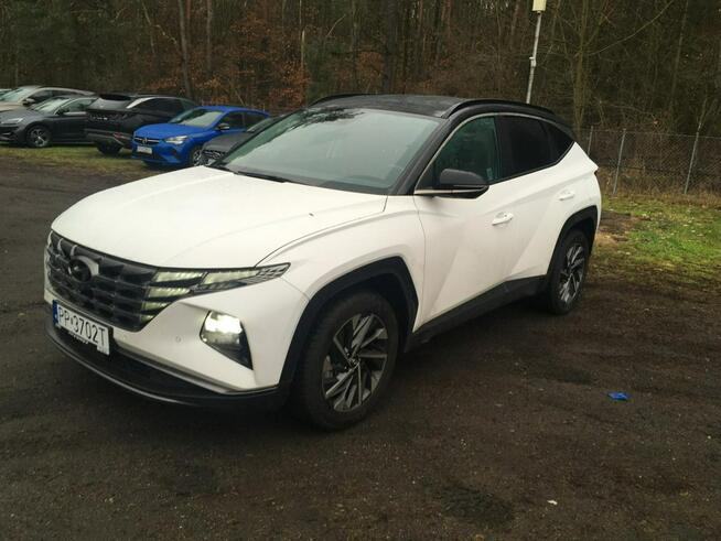 Salonowy, Bezwypadkowy, serwis ASO Hyundai, samochód dealera