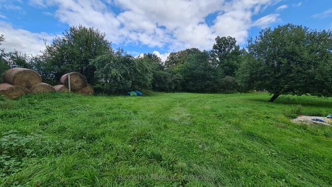 Na sprzedaż 3 działki Kalinowice Górne