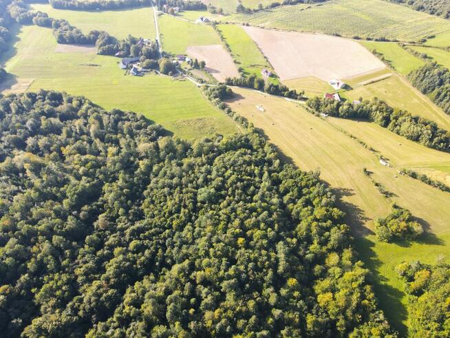 Działka leśna Bukowsko,