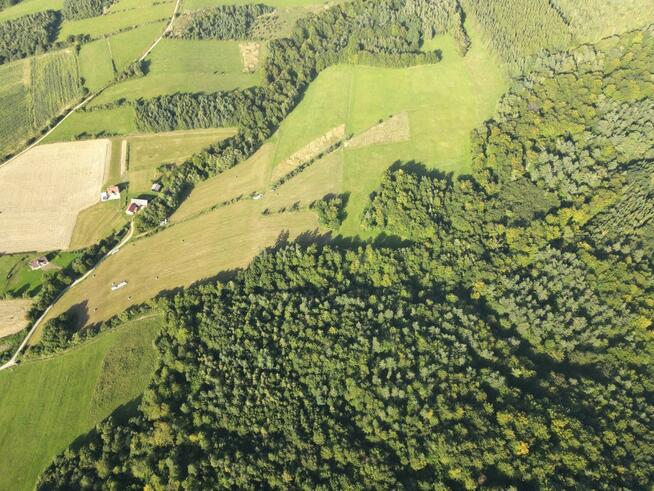 Działka leśna Bukowsko,