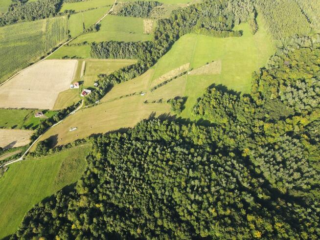 Działka leśna Bukowsko,