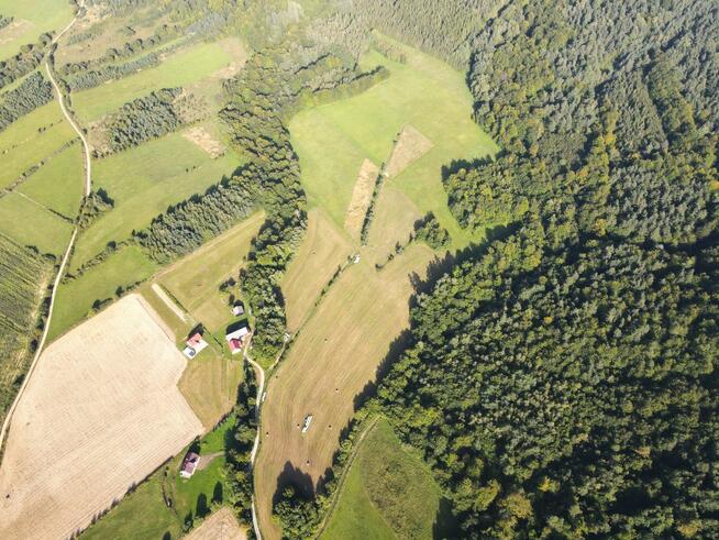 Działka leśna Bukowsko,