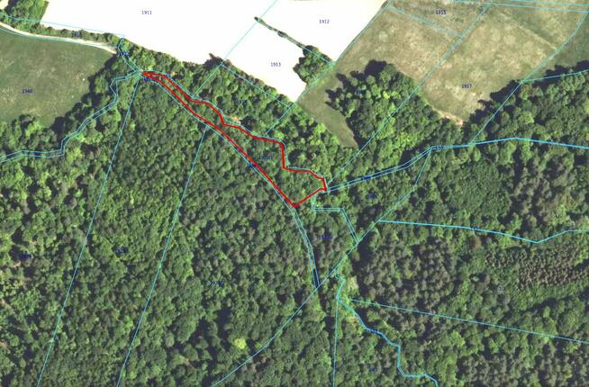 Działka leśna Bukowsko,