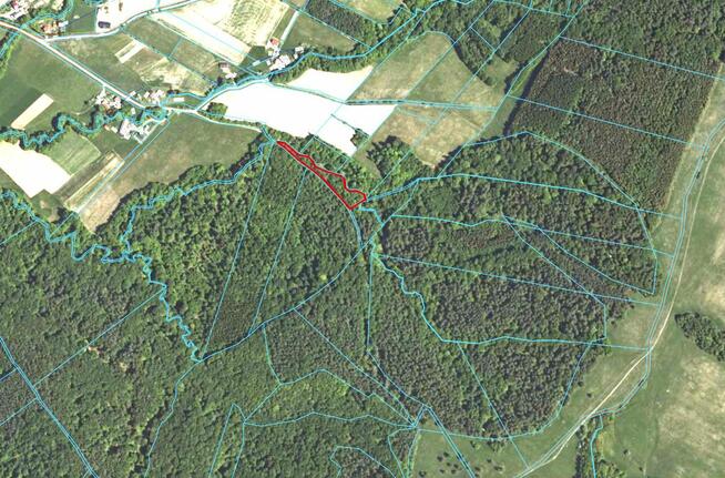 Działka leśna Bukowsko,