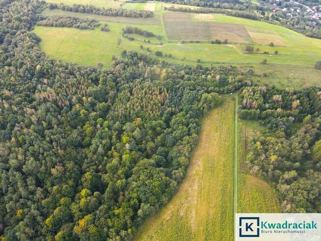 Działka rolna Witryłów gm. Dydnia,