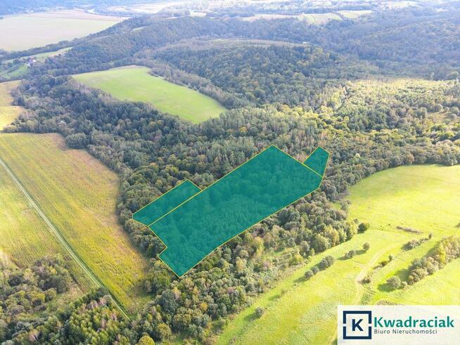 Działka rolna Witryłów gm. Dydnia,