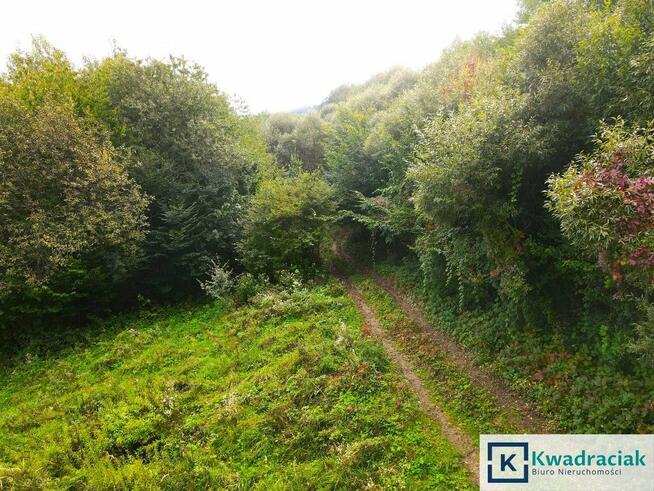 Działka rolna Witryłów gm. Dydnia,