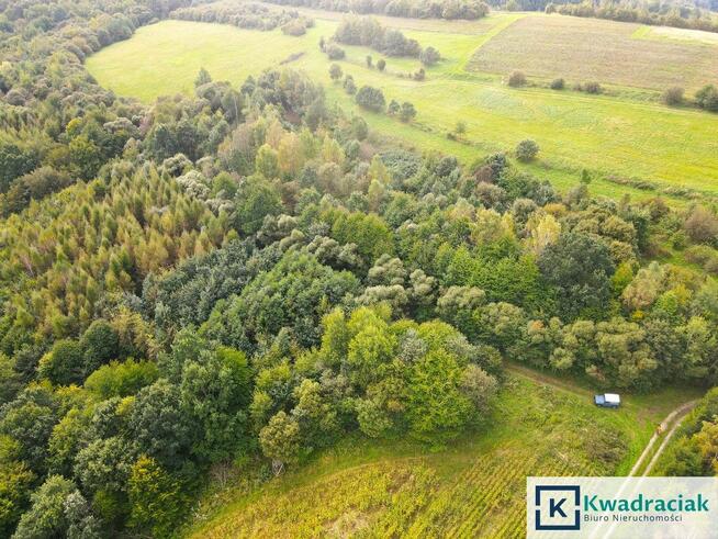 Działka rolna Witryłów gm. Dydnia,