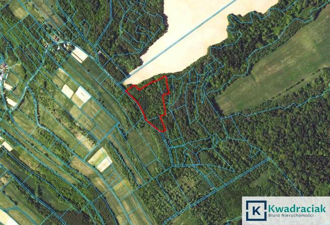 Działka rolna Witryłów gm. Dydnia,