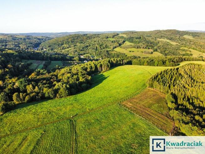 Działka rolna Lutcza gm. Niebylec,