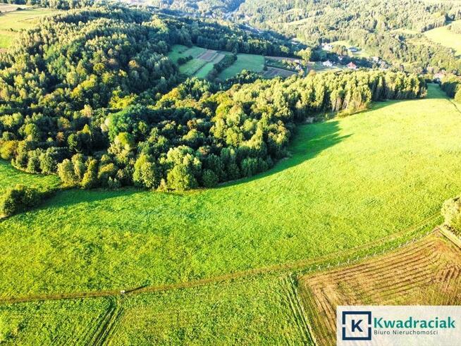 Działka rolna Lutcza gm. Niebylec,