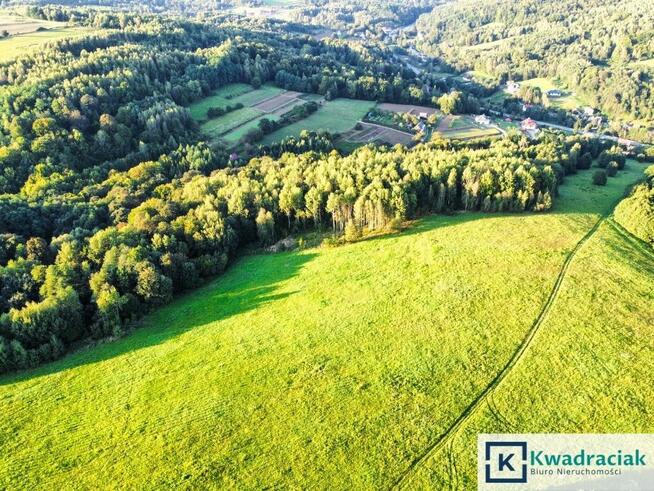 Działka rolna Lutcza gm. Niebylec,