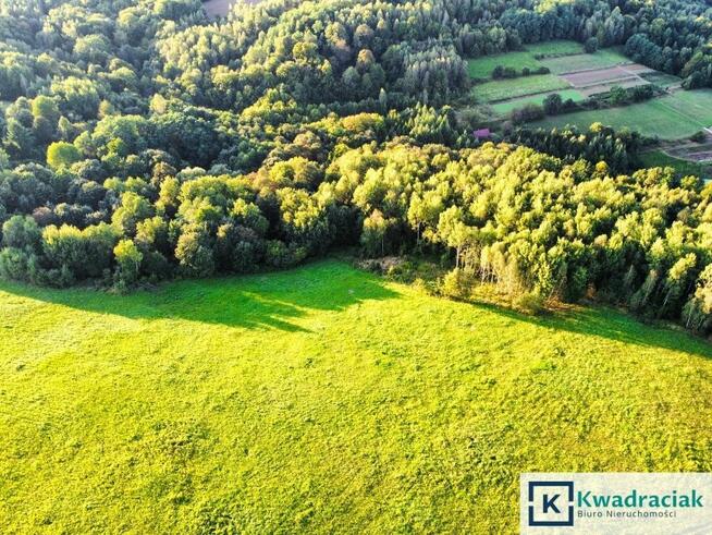 Działka rolna Lutcza gm. Niebylec,