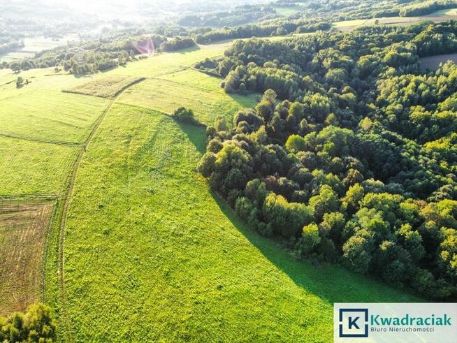 Działka rolna Lutcza gm. Niebylec,