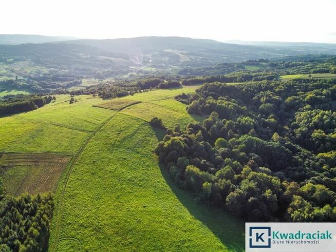 Działka rolna Lutcza gm. Niebylec,