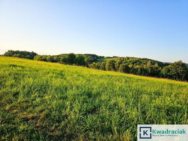 Działka rolna Lutcza gm. Niebylec,