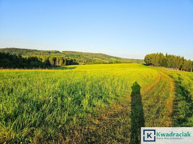 Działka rolna Lutcza gm. Niebylec,