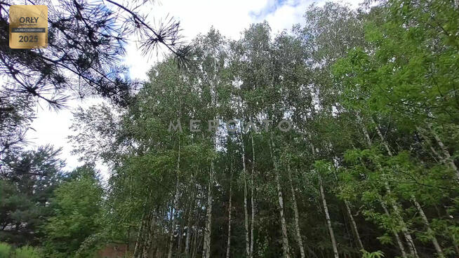 Działka rekreacyjna Burlaki gm. Zatory,