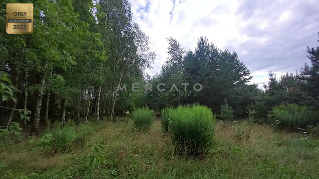 Działka rekreacyjna Burlaki gm. Zatory,