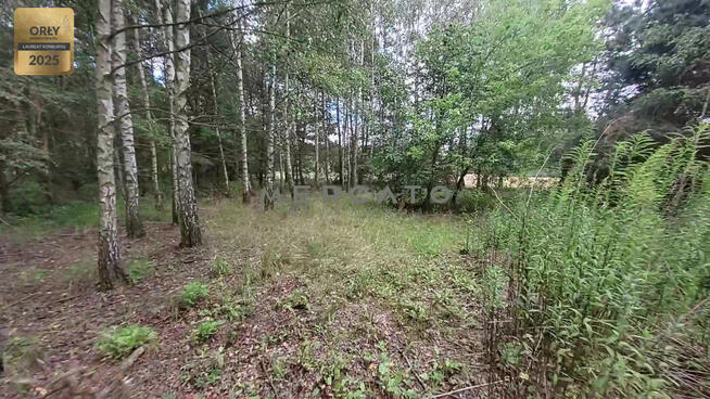 Działka rekreacyjna Burlaki gm. Zatory,