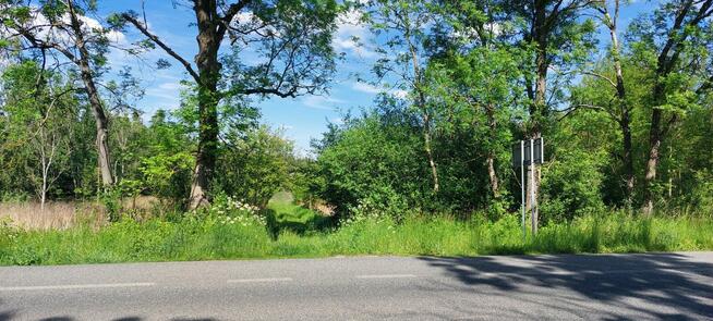 Sprzedam działki rolne zabudowane w Kołbieli pod Warszawą