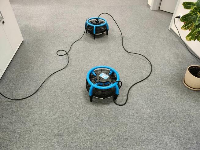 Profesionalne pranie tapicerki meblowej, dywanów