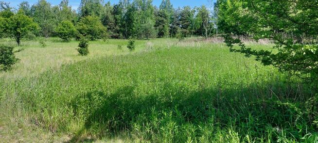 Sprzedam działki rolne zabudowane w Kołbieli pod Warszawą