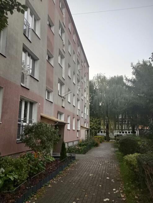 Wynajmę mieszkanie 36,6 m2