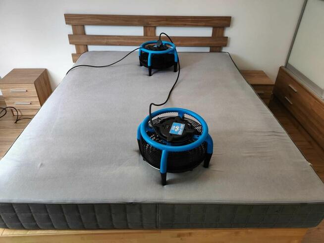 Profesionalne pranie tapicerki meblowej, dywanów