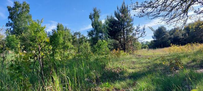 Sprzedam działki rolne zabudowane w Kołbieli pod Warszawą