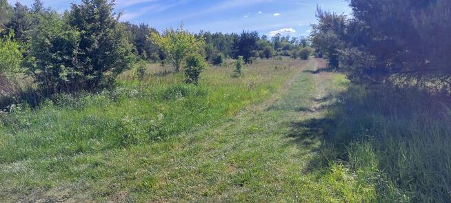 Sprzedam działki rolne zabudowane w Kołbieli pod Warszawą