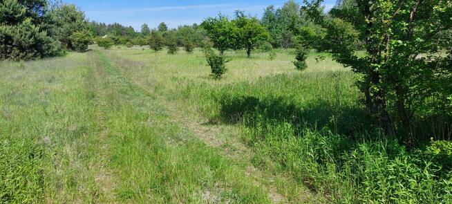 Sprzedam działki rolne zabudowane w Kołbieli pod Warszawą