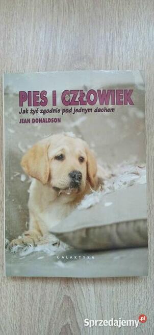 Pies i człowiek. Jak żyć zgodnie pod jednym dachem.