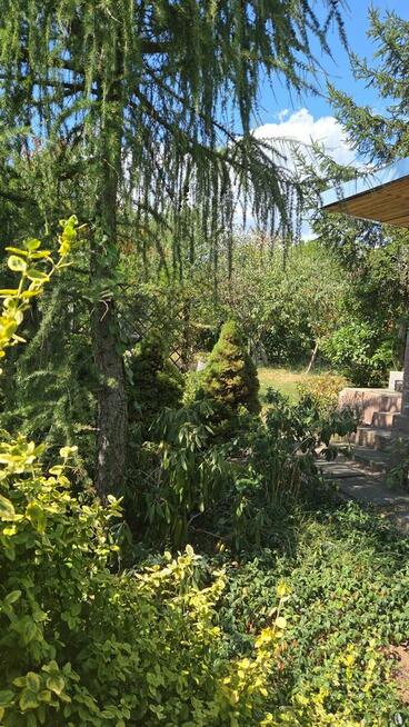 Działka ROD z murowaną altaną