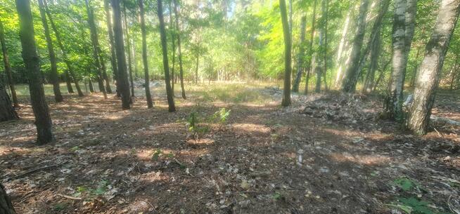 Działka Władysławów Żabia Wola 2000m