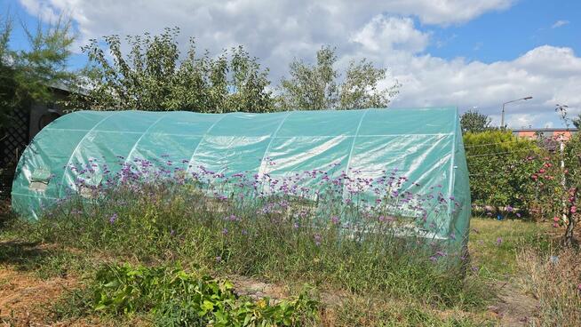 Działka ROD z murowaną altaną