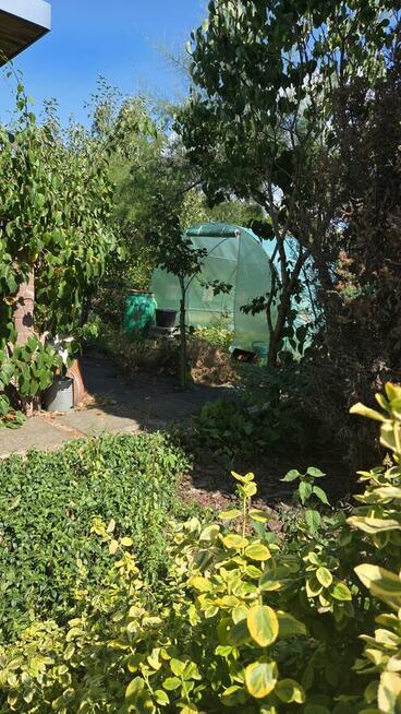 Działka ROD z murowaną altaną