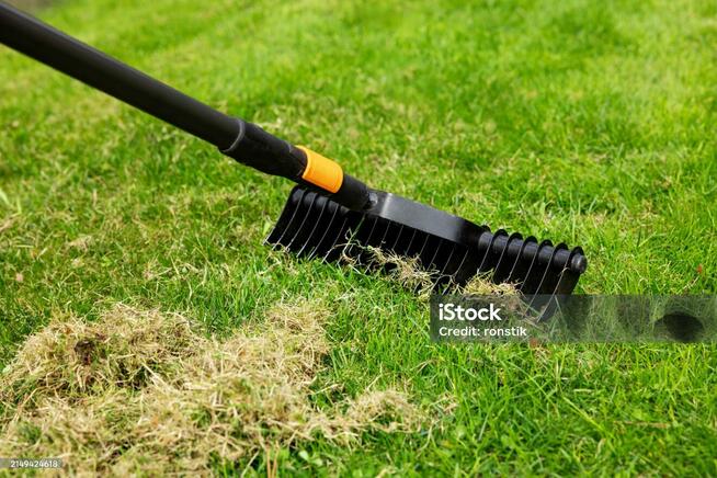 Koszenie trawników i prace ogrodowe. Najtaniej na rynku!!!