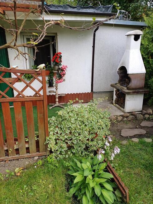 Sprzedam działkę ROD