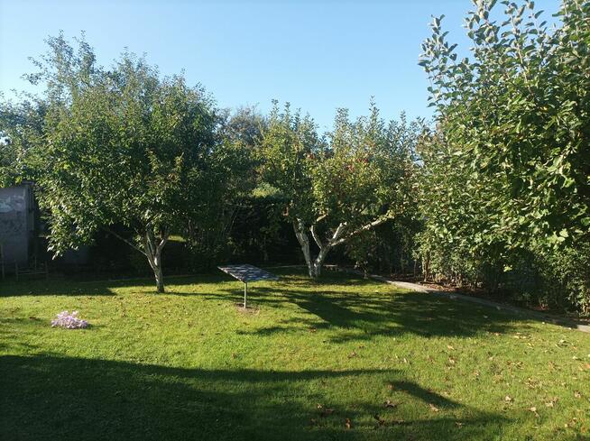 Działka ROD 1-go Maja w Gliwicach