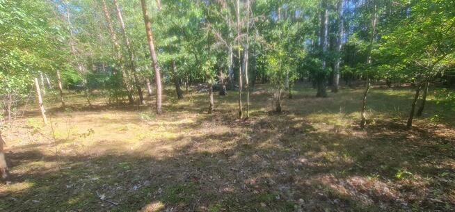 Działka Władysławów Żabia Wola 2000m