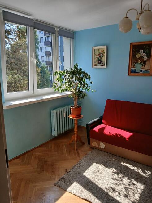 Dwa pokoje dla studenta