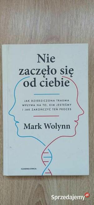 Nie zaczęło się od ciebie - Mark Wolynn