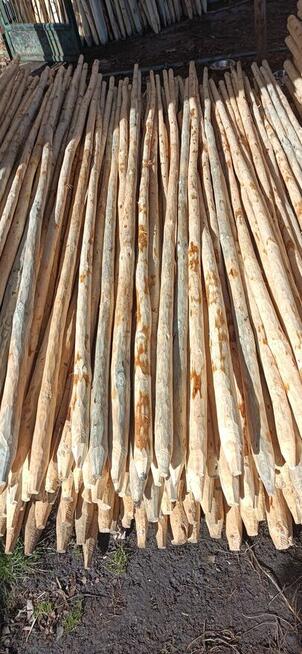 Palik tyczki do drzewek, malin i na ogrodzenie