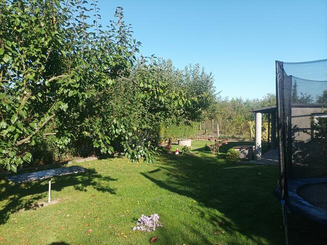 Działka ROD 1-go Maja w Gliwicach