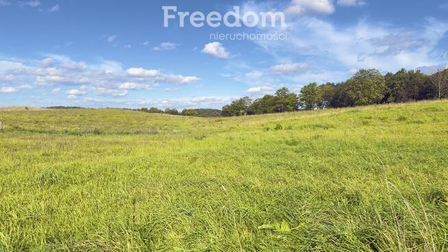 Działki budowlane k. Giżycka