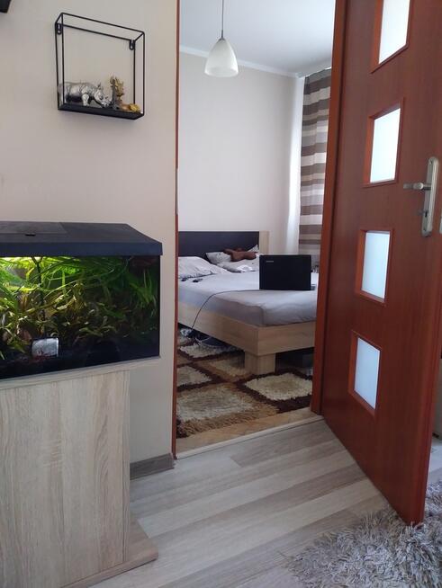 Mieszkanie 50 m2 z miejscem parkingowym