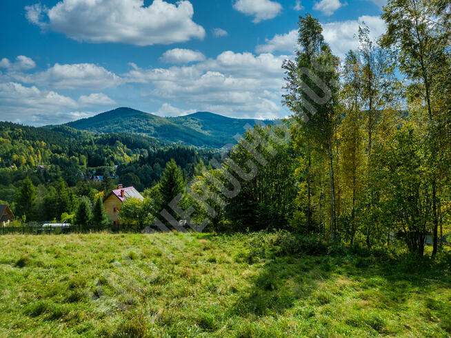 Widokowa działka w Zawoi przy lesie