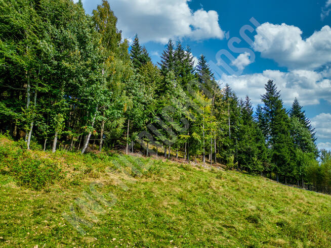 Widokowa działka w Zawoi przy lesie